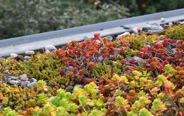 the cost of Crofts Of Kingscauseway green roof installation