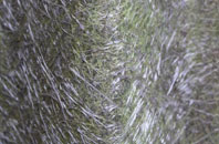 Crofts Of Kingscauseway fibreglass roof work